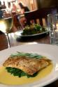 Tilapia